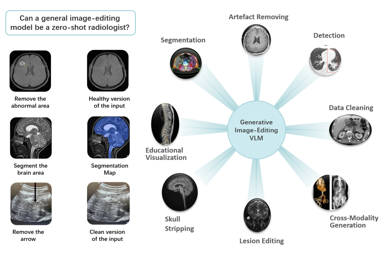 Awesome Nano Banana for Medical Imaging